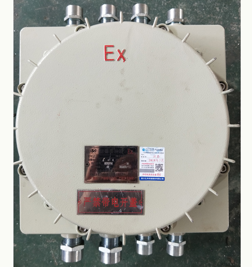 廠用防爆接線箱