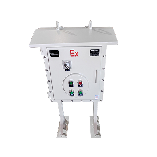 立式防爆控制箱帶防雨罩