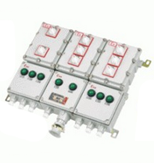 BM(D)G54-系列防爆動力配電箱